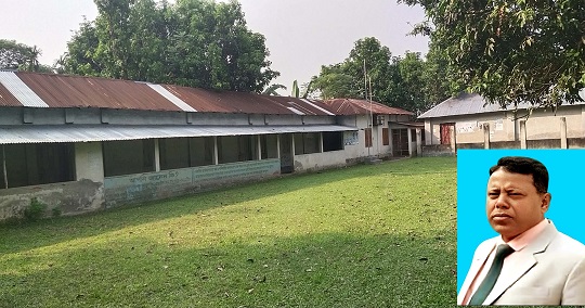 image-here